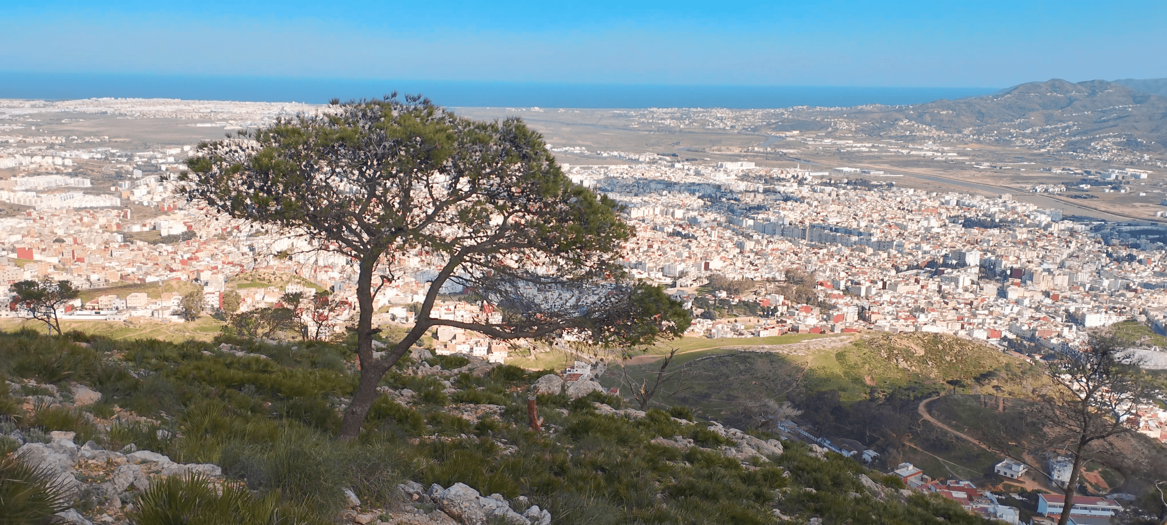 Luxury riad courtyard with a pool